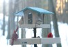 ULTIMATE BIRD FEEDER STATION SYSTEMS